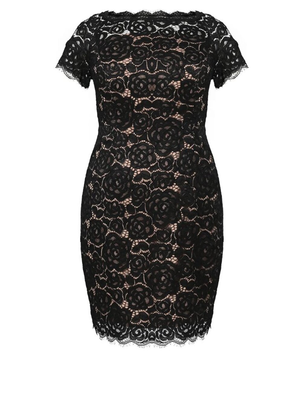 Adrianna Papell Plus Size Black Lace Short Sleeve Dress 16W
